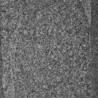 Light Grey Schist Quartz