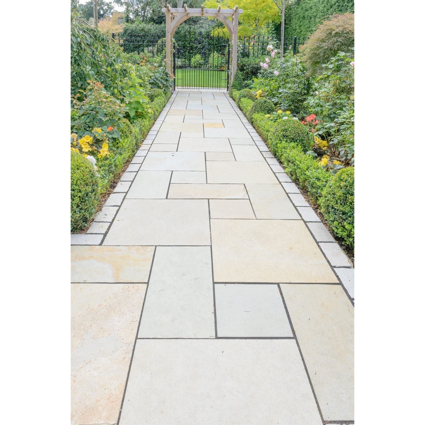 Kashmir Sage Limestone